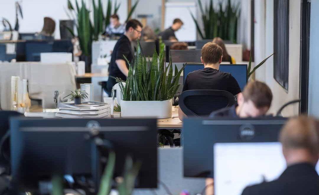 Dijital Ajans Seçerken Sorulması Gereken 12 Kritik Soru